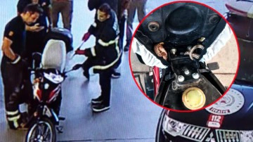 Akaryakıt istasyonunda yılan paniği! &Ccedil;ıktığı yer şaşkına &ccedil;evirdi