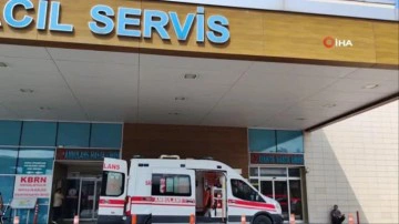 Arıların saldırısına uğrayan gen&ccedil; hastanelik oldu