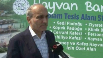 Arnavutk&ouml;y&rsquo;de sokak hayvanları i&ccedil;in dev proje: 51 bin 500 metrekare olacak