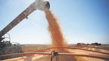 Avrupa'ya rağmen 40 gemiyle dev operasyon: T&uuml;rkiye'de işlenip Afrika'ya g&ouml;nderilecek