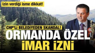 Bodrum'da CHP'li Meclis &Uuml;yesi &Ouml;zden'e ormanda &ouml;zel imar izni