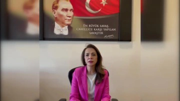 CHP'li İlgezdi: Puff bar kullanımı gen&ccedil;ler arasında artıyor