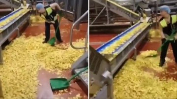 Cips fabrikasındaki g&ouml;r&uuml;nt&uuml;ler sosyal medyayı ayağa kaldırdı! Ger&ccedil;ek &ccedil;ok farklı &ccedil;ıktı