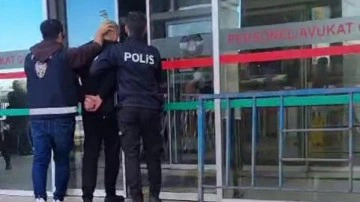 Fatih'te sokak kedisini &ccedil;antasına koyarak g&ouml;t&uuml;ren zanlı tutuklandı