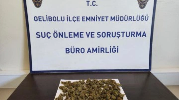 Gelibolu&rsquo;da sırt &ccedil;antasından 90 gram skunk &ccedil;ıktı: 2 g&ouml;zaltı
