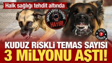 Halk sağlığı tehdit altında: Kuduz riskli temas sayısı 3 milyonu aştı!