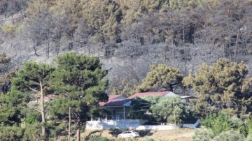 Hatay, Mersin ve &Ccedil;anakkale'de d&uuml;n &ccedil;ıkan orman yangınlarına m&uuml;dahale s&uuml;r&uuml;yor