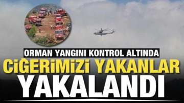 Hatay'da ciğerimizi yaktılar! Valilik orman yangınını &ccedil;ıkartanların yakalandığını a&ccedil;ıkladı