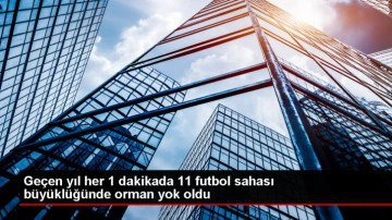 Her dakika 11 futbol sahası b&uuml;y&uuml;kl&uuml;ğ&uuml;nde ormanlık alan yok oluyor
