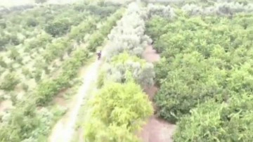 Jandarma, tarım alanlarında hırsızlara karşı 7/24 n&ouml;bette