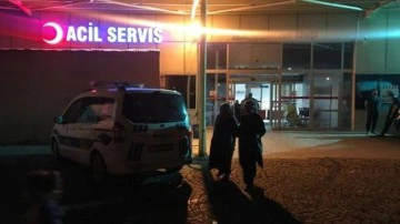 Kars'ta kan donduran &ccedil;ifte cinayet!