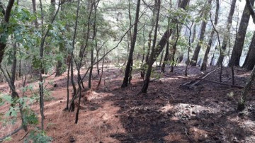 Kazdağları'ndaki orman yangını s&ouml;nd&uuml;r&uuml;ld&uuml;