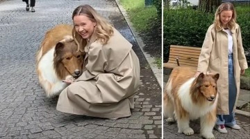 K&ouml;pek olmak i&ccedil;in 403 bin TL harcayan adamın ilk kez sokağa gezdirilmeye &ccedil;ıkarıldığı anlar