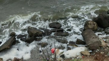 K&uuml;&ccedil;&uuml;k&ccedil;ekmece G&ouml;l&uuml; i&ccedil;in uyarı: Girilmemeli, balık tutulmamalı