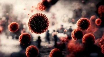 Lyme hastalığı nedir? Lyme hastalığı neden olur, belirtileri nedir?