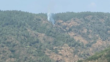 Marmaris'te &ccedil;ıkan orman yangını s&ouml;nd&uuml;r&uuml;ld&uuml;! 1 dekar etkilendi