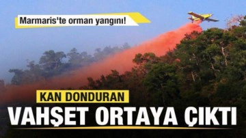 Marmaris'te orman yangını! Kan donduran vahşet ortaya &ccedil;ıktı
