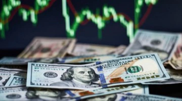 Merkez Bankası'nın faiz kararı sonrası dolar g&uuml;ne tarihi rekoru kırarak başladı