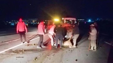 Otomobilin &ccedil;arptığı koyun s&uuml;r&uuml;s&uuml;nde 18 koyun telef oldu