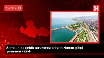Samsun'da &Ccedil;ift&ccedil;i &Ccedil;eltik Tarlasında Hayatını Kaybetti