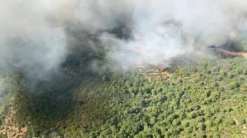 Soma&rsquo;da orman yangını!