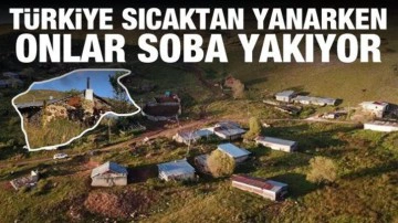 T&uuml;rkiye sıcaktan kavrulurken, onlar soba yakıyor