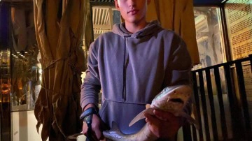 &Uuml;sk&uuml;dar'da bir gencin oltasına yavru k&ouml;pek balığı takıldı